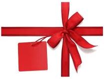 Winter Holiday Camps